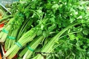 芹菜