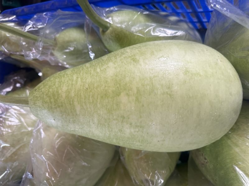 蒲瓜